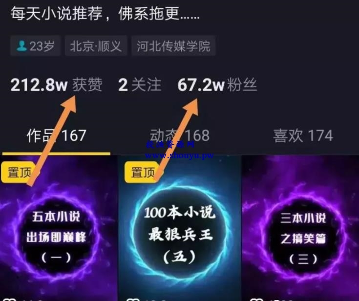 暴力小说分销项目，月赚几万，一个账号交易高达几十万