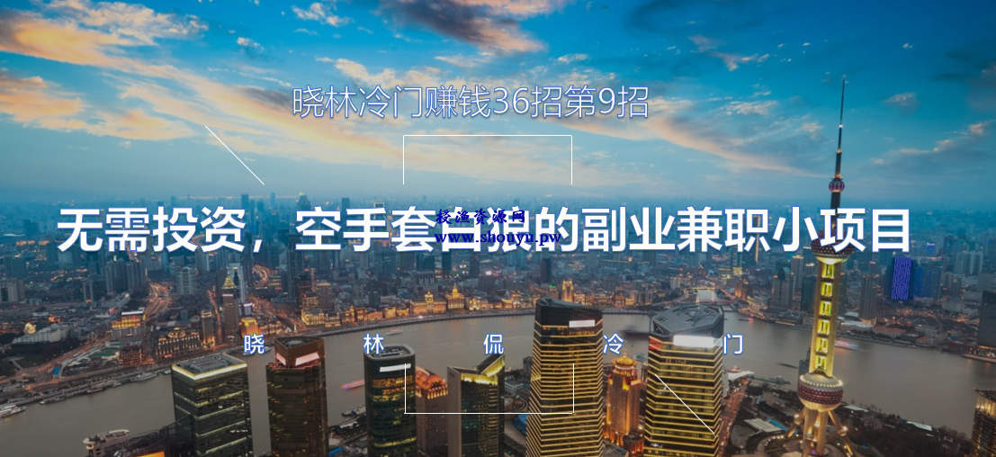 晓林冷门赚钱36招第9招无需投资，空手套白狼的副业兼职小项目【视频课程】