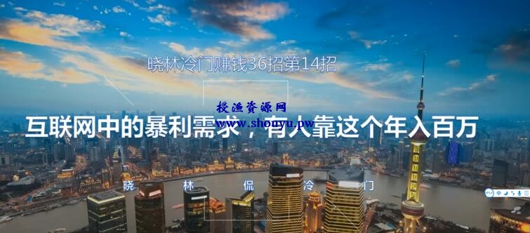 晓林冷门赚钱36招第14招互联网中的暴利需求，有人靠这个年入百万【视频课程】