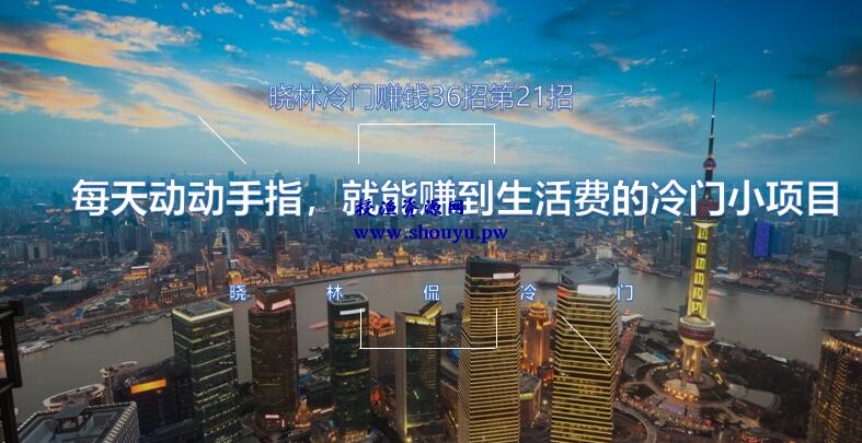 晓林冷门赚钱36招第21招每天动动手指，就能赚到生活费的冷门小项目【视频课程】