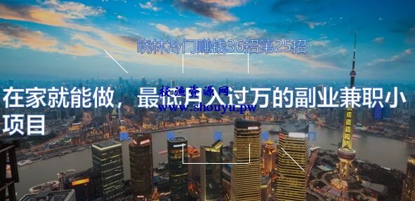 晓林冷门赚钱36招第25招在家就能做，最低月入过万的副业兼职小项目【视频课程】