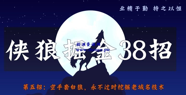 侠狼掘金38招第5招空手套白狼，永不过时挖掘老域名技术【视频课程】