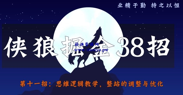 侠狼掘金38招第11招思维逻辑教学，整站的调整与优化【视频课程】