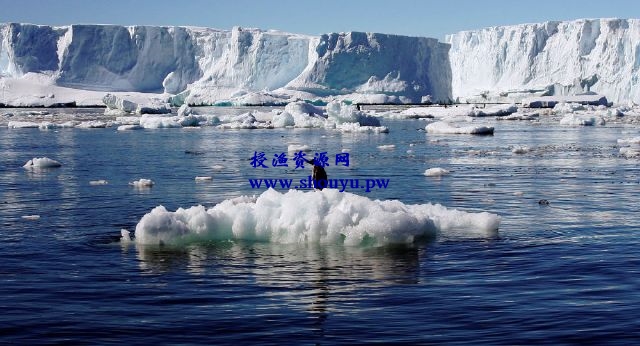 垃圾分类 坑钱夺名的玩法