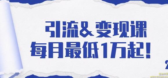 引流变现课：分享一整套流量方法以及各个渠道收入，每月最低1万起