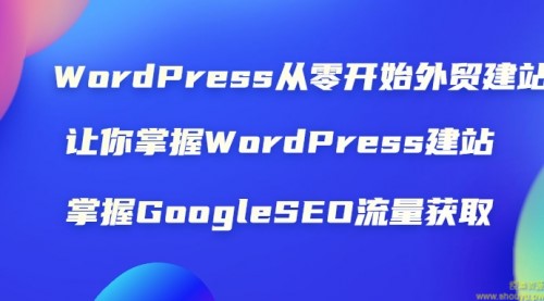 WordPress从零开始外贸建站：让你掌握WordPress建站 掌握GoogleSEO流量获取