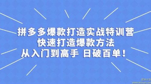 拼多多从入门到高手，爆款实战训练营日破百单