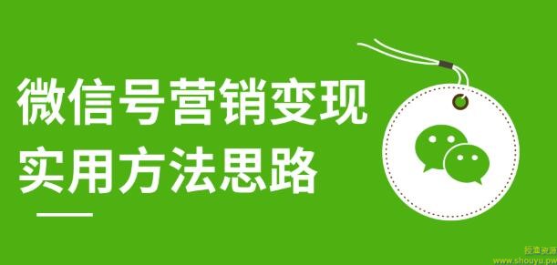 微信号营销变现实用方法思路，朋友圈刷屏裂变（共12节）价值199元