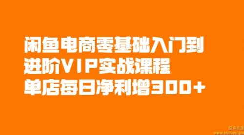 闲鱼电商零基础入门到进阶VIP实战课程，单店每日净利增300+