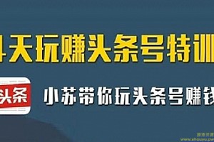 小苏带你玩头条号赚钱《14天玩赚头条号特训营》价值399元